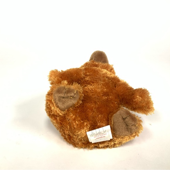 TY Beanie Babies, Bear “Sequoia” - Picture 3 of 6